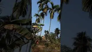 MY FIRST VLOG (NATURE'S BEAUTY)