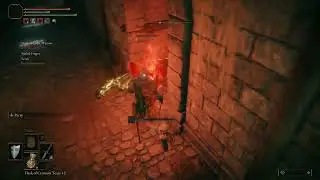 Elden Ring death blighted pvp