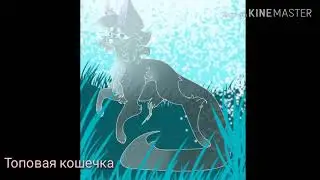 Клип коты воители – Одиночество