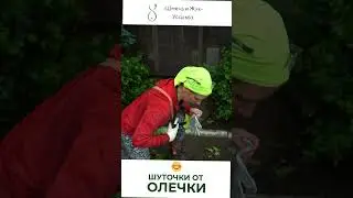 Почему садовник носит бабочку?