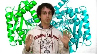 The quality of proteins