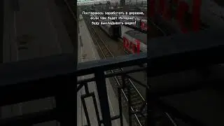 Телеграмм канал - timoha GO