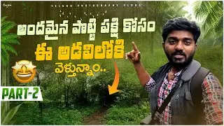 భరత్ దేశపు అందమైన పక్షి | ODKF | TELUGU PHOTOGRAPHY VLOGS | Oriental Dwarf Kingfisher |