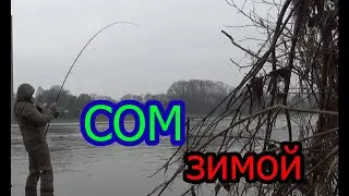 рыбалка на джиг зимой с берега. сом хочет спать, но я не даю.