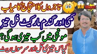 maki aj ka top rate ||punjab ghala mandi rate ||gundam or monji aj ka rate