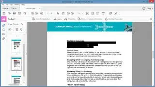 Redact a document