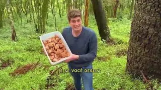 Rentabilize seu Sítio com Cogumelos | Workshop Gratuito dias 27, 28 e 29 de novembro