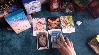 Spirit Animal Messages card reading. 🐞🦉🐒