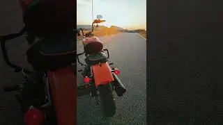 #customharley #harleydavidson #streetbob #hd #automobile