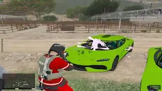 back on 5rp//carline//del perro//