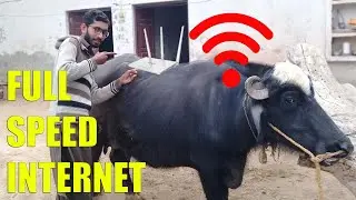 Full speed internet Tenda F3 2020 Urdu Hindi