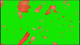 new heart effect flower green screen