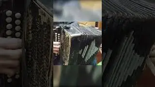 Как настроить гармонь Тула или как сделать из Г на конфетку 
