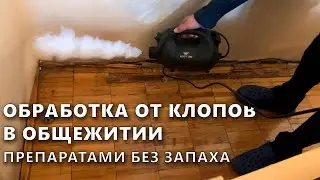 Комфортная и эффективная обработка общежитий от клопов средствами без запаха