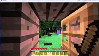 The Minecraft FIles #2