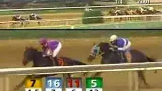 CHURCHILL DOWNS, 2007-06-08, Race 11