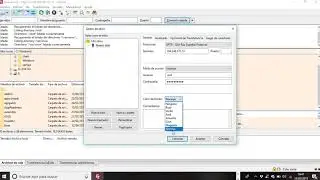 Conectarnos en un Servidor con Filezilla