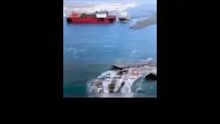 A bridge has collapsed with many cars on it! Sharks and ships are unable to do anything #viral