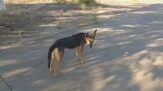 Черная девочка