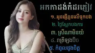 អកកាដង់កំដរភ្ញៀវពិរោះៗ