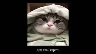 интернета больше не быть
