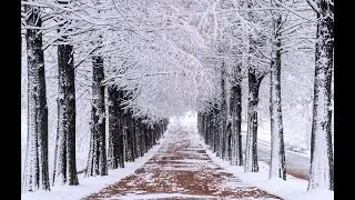Какое чудесное утро! 1 февраля 2023г. Белая Калитва