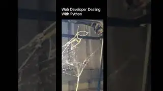 web developer dealing with python #shorts #memes
