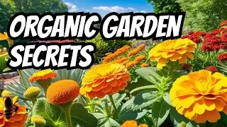 Secrets to a Healthy Garden: Avoid Pests Organically