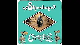 Skinshape - The Pools Of Dee