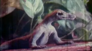 My Favorite Animations (with Sound)