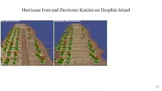 Dynamic Coasts - Prof Derek Jackson