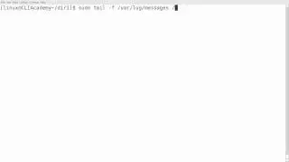 CLI Academy: Linux 