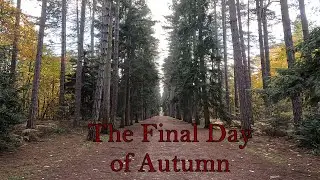 The Final Day of Autumn