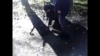 MOV077