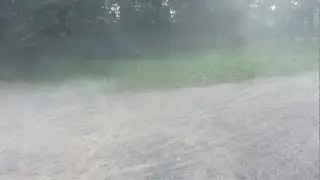 Hpi Savage X 4.6 Bashing