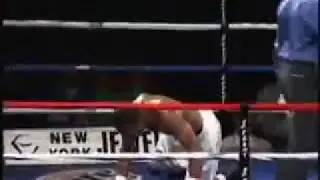 8Count Productions Boxing Promotion