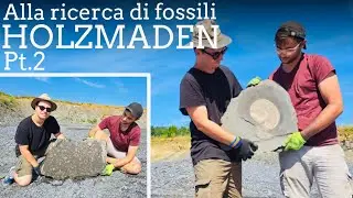 Alla ricerca di fossili - HOLZMADEN (Germania) pt.2