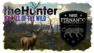 theHunter Call of the Wild™ | Парк Фернандо.  | прохождение. 23