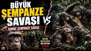BÜYÜK ŞEMPANZE SAVAŞI!