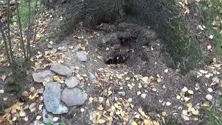 Мишаня, а говорил что не пойдешь на это место)))