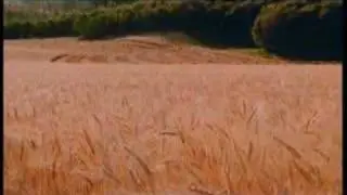 Mormon Religion: Helping Others - Part 2/2