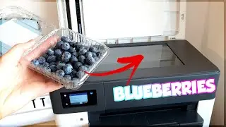 What happens if you photocopy BLUEBERRIES