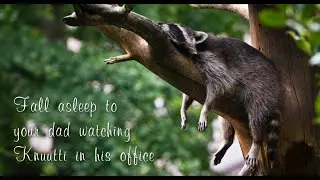 Fall Asleep to Your Dad Watching Knuutti in His Office