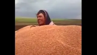 ГРАЖДАНСКАЯ ОБОРОНА-ЗЕРНО НА МЕЛЬНИЦУ.