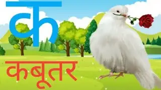 a se anar aam se aam a  se Gyani tak k se kabutar kha se khargosh hindi alfabets