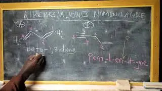 TREATMENT OF VOWELS AND CONSONANTS IN NOMENCLATURE