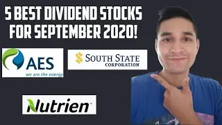 5 Best Dividend Stocks to buy in September 2020!