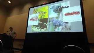 Anderson: Adapting the Ornstein Uhlenbeck model to test for adaptive divergence between paired taxa