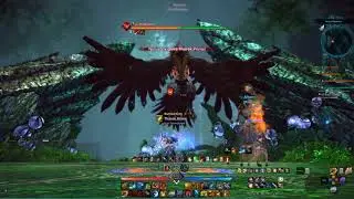 TERA - Ravenous Gorge SOLO [Brawler]