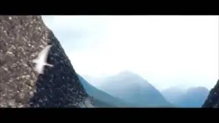Футаж Голубь